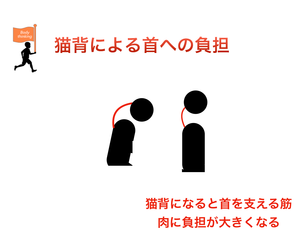 D5EE71DE-732D-4EAD-AE29-2DE07A79F60A.jpeg
