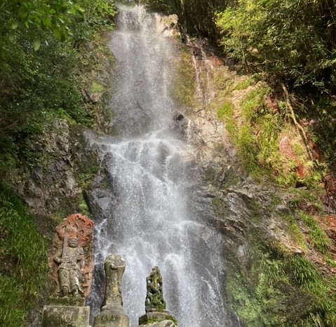 image3 (7).jpeg