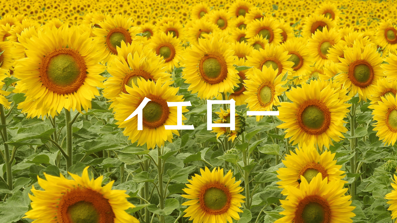 見出しを追加 (18).png