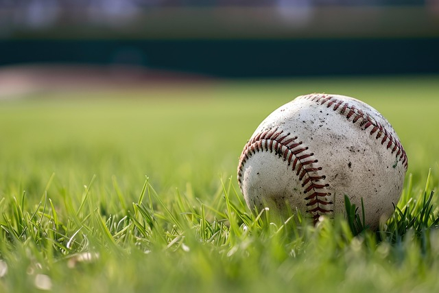 baseball-8507868_640.jpg
