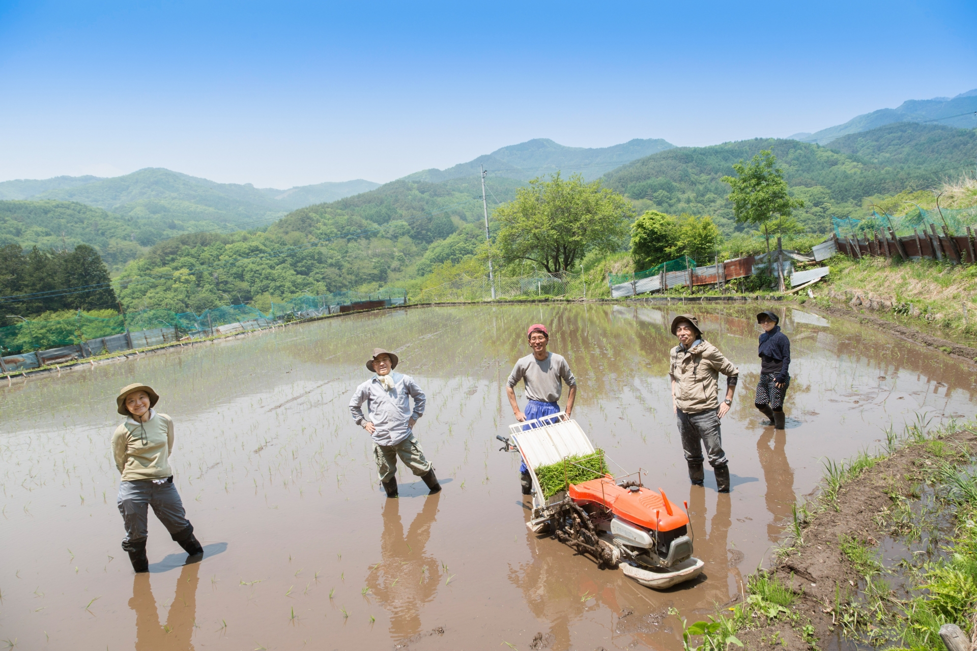 田植え.jpg