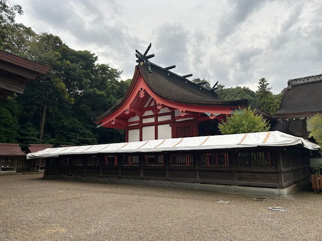 image5 (2).jpeg