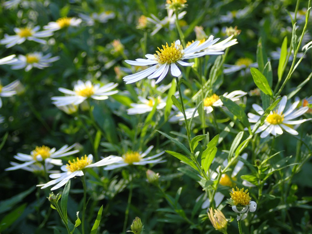 PA100870.JPG