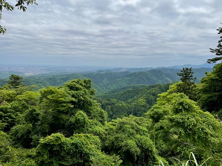 S__15982655.jpg