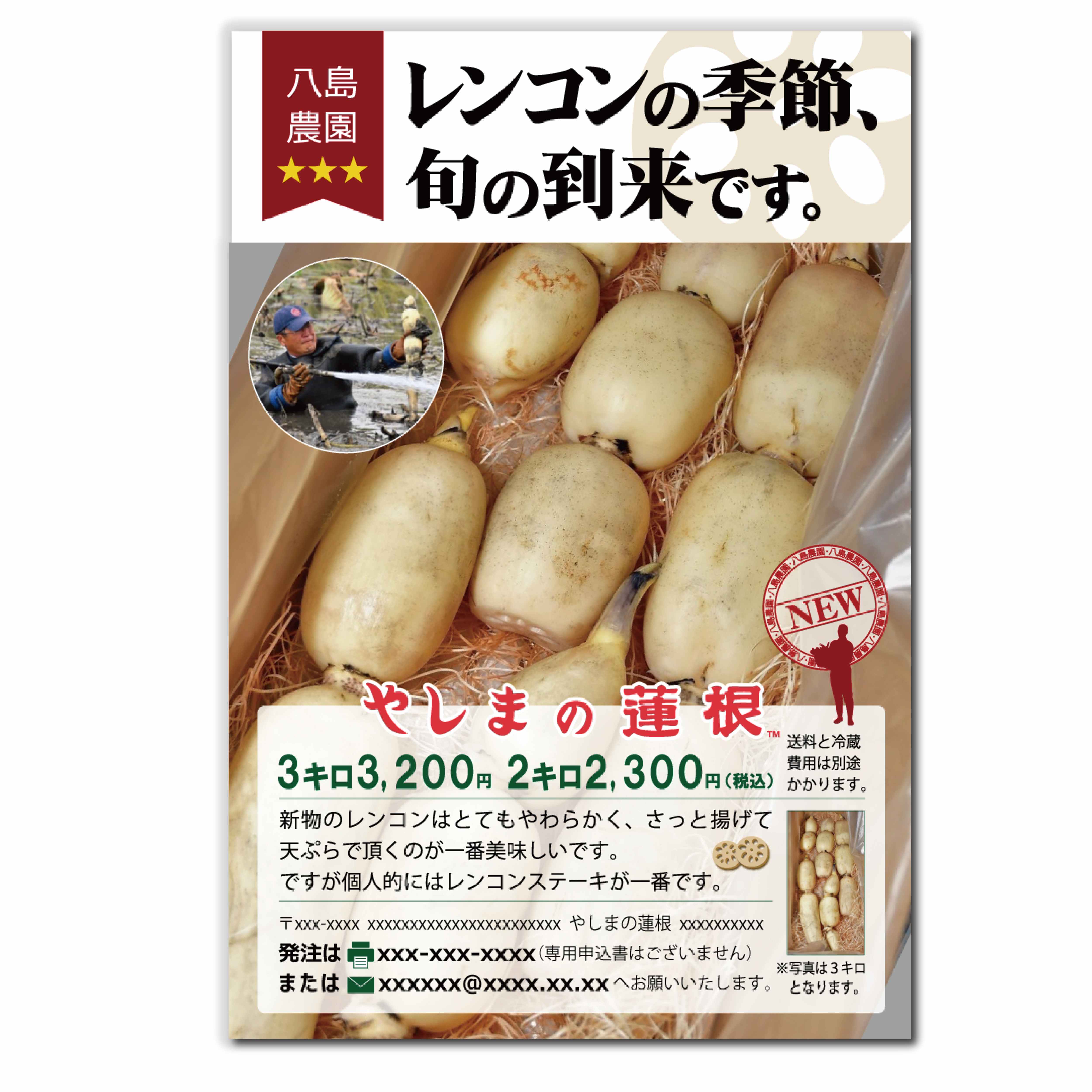 レンコン_ポートフォリオ用.png