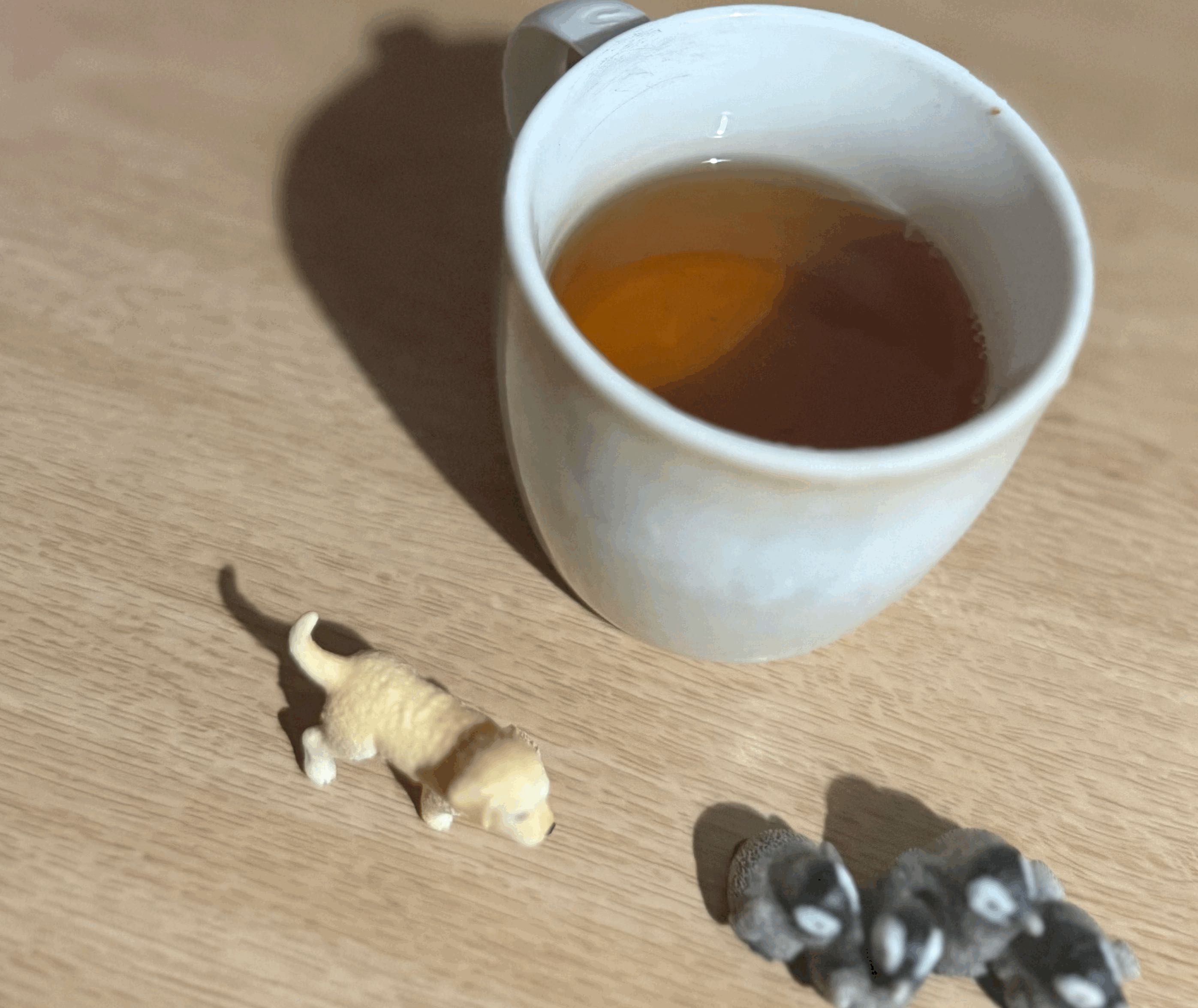 tempImageTb1572.gif