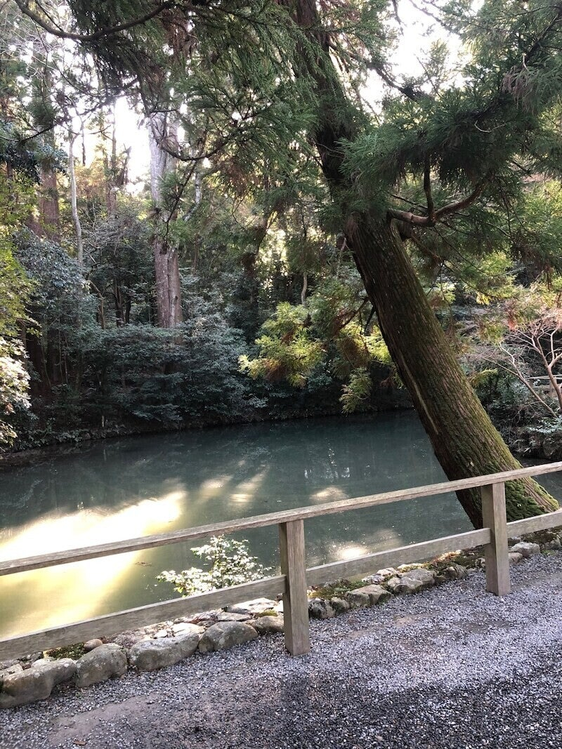伊勢神宮_池と森.jpg
