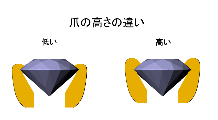 爪の高さpng.png