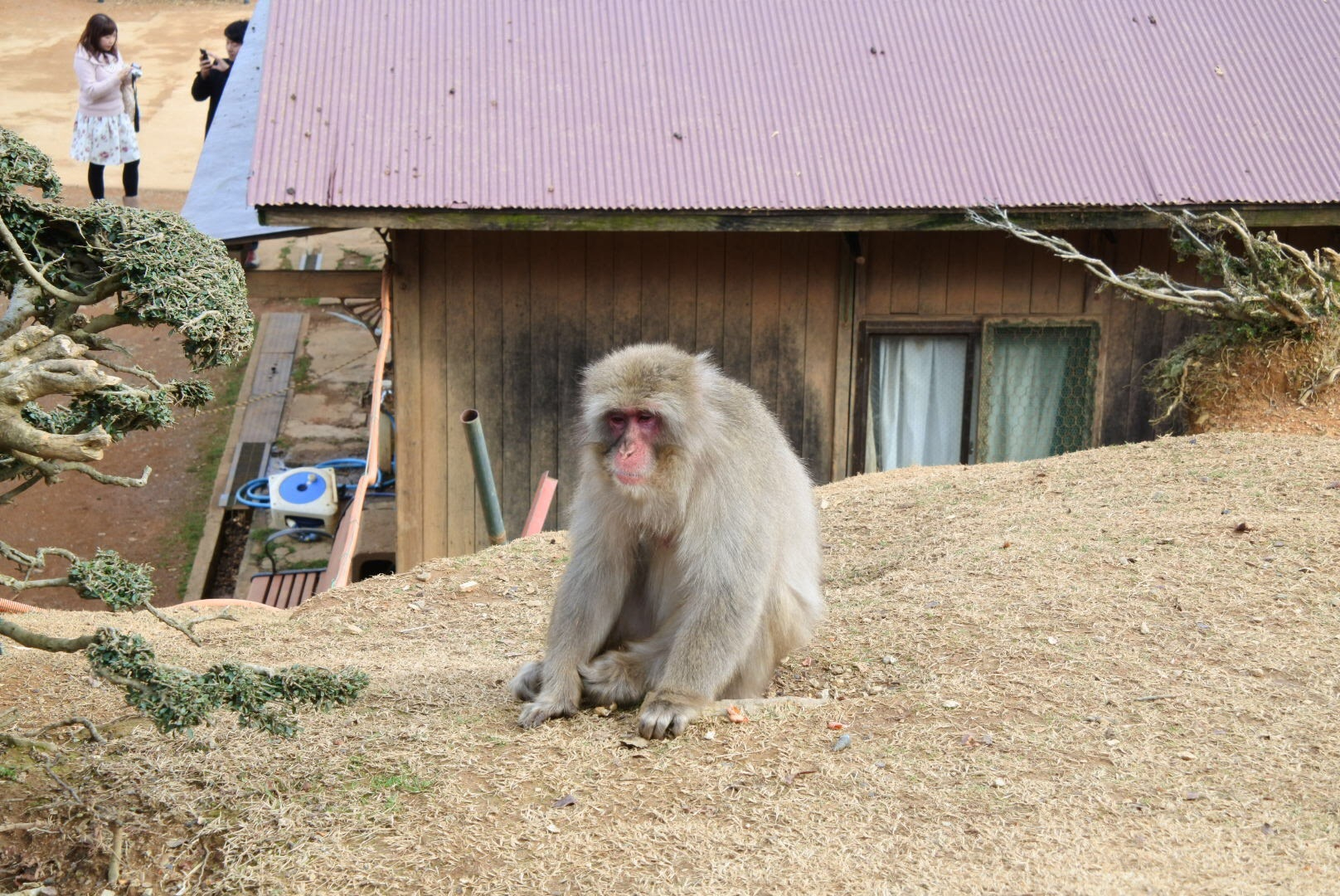 IMG_7164.JPG