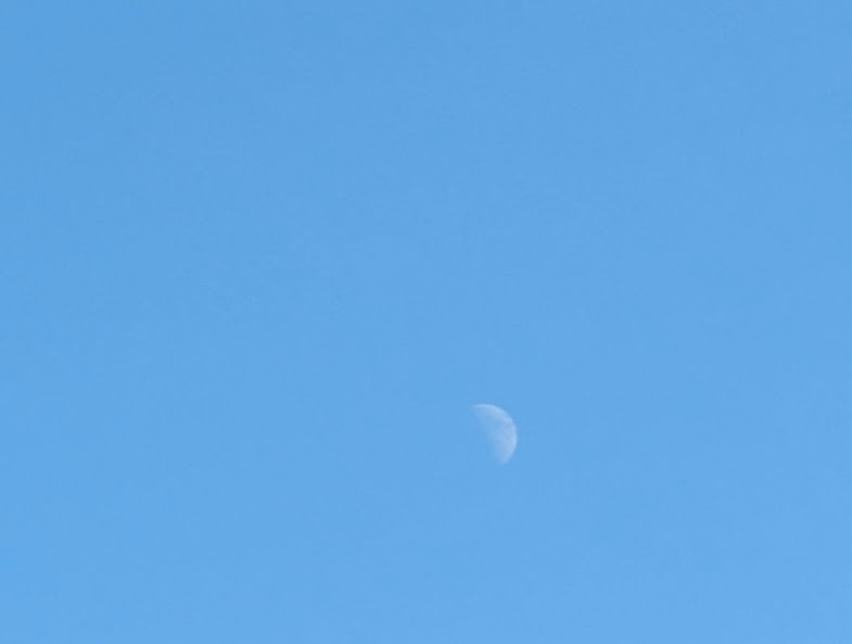 PXL_20251128_045958052.jpg