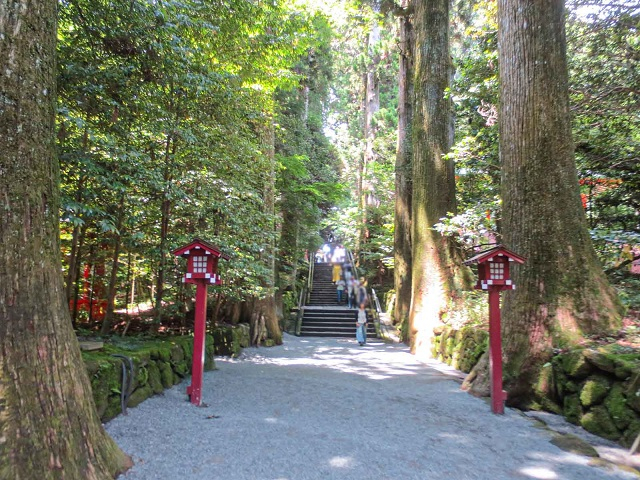 箱根神社_石階段01.jpg