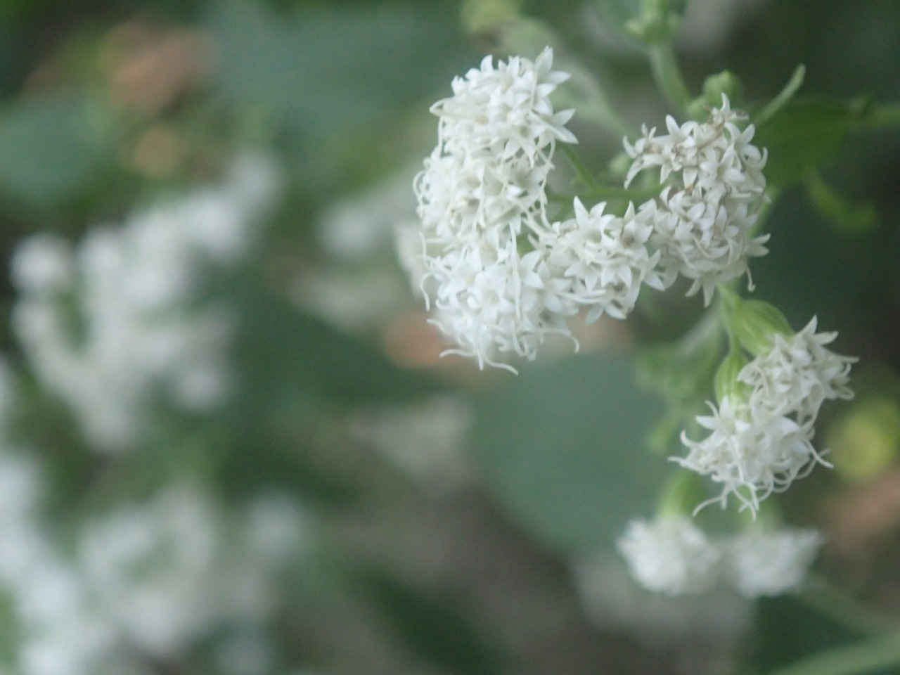 PA120346.JPG