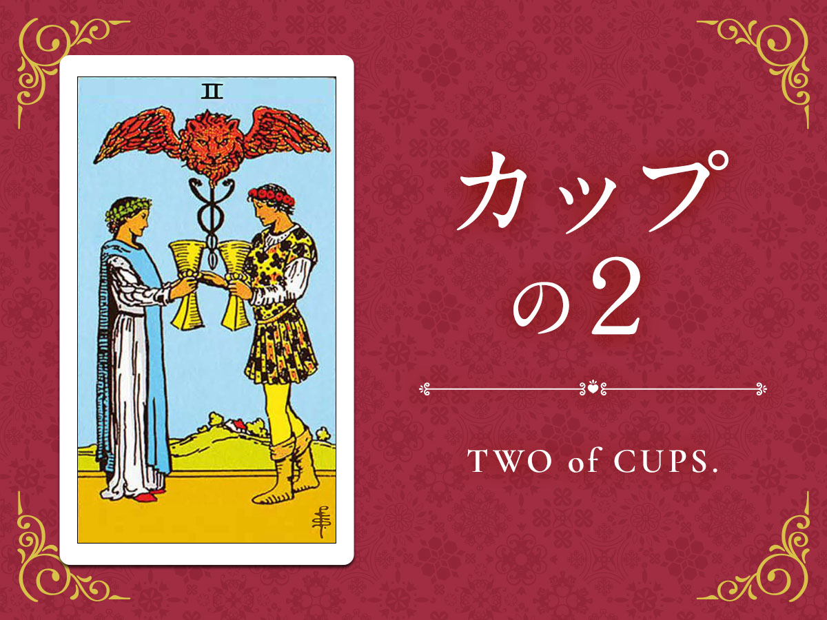 img_Twitter画像_デイリータロット_402_カップの２.jpg