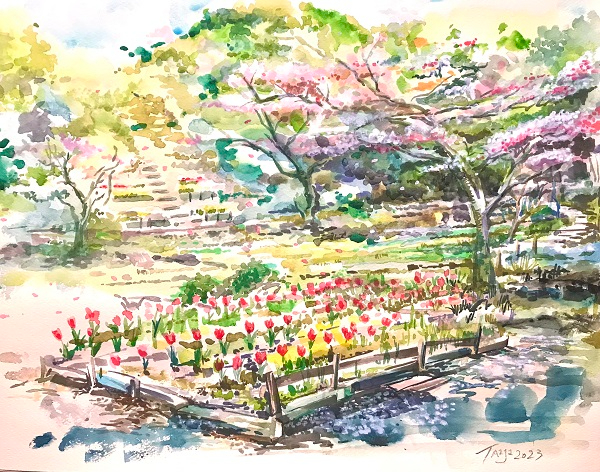 里山スケッチ 完成.jpg