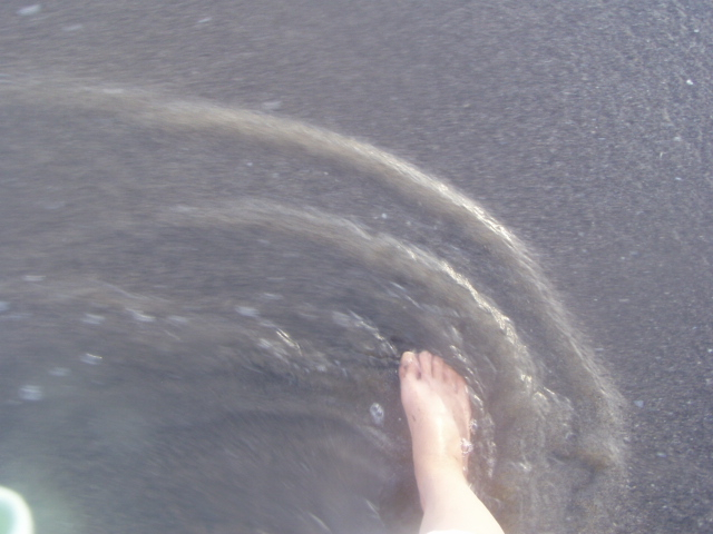 P1010054.JPG