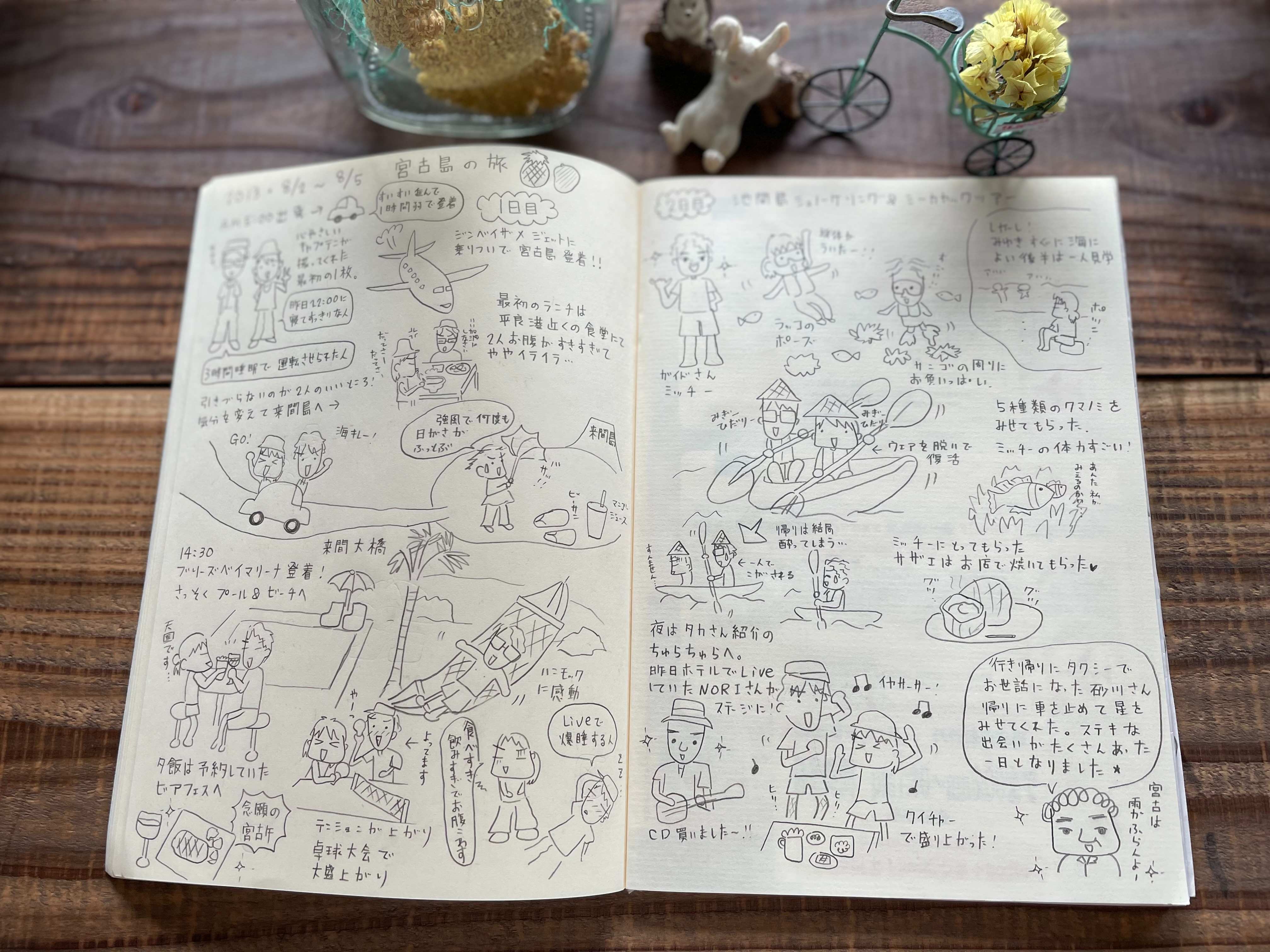 6 大人になっても絵日記は楽しい Mochi15 Coconalaブログ