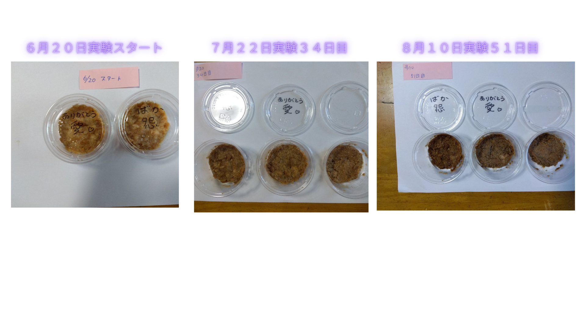 投票ボード ホワイトボード カラフル ペーパークラフト  (3).png