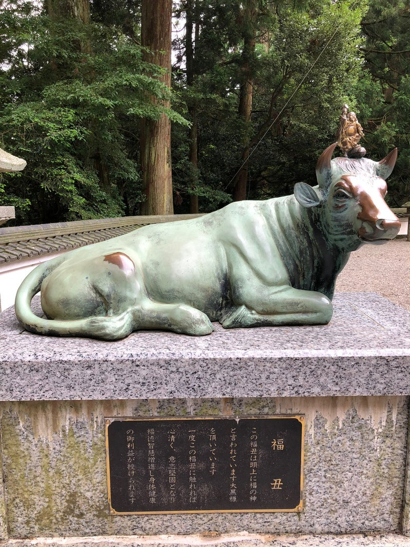 o1080144015258561471.jpg