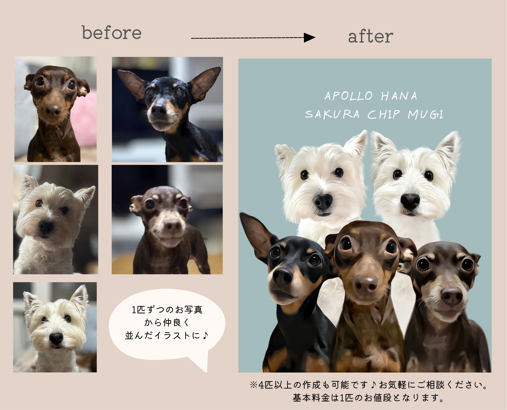 POLLO,HANAA,CHIP,SAKURA,MUGI (スマホの壁紙)のコピー.jpg