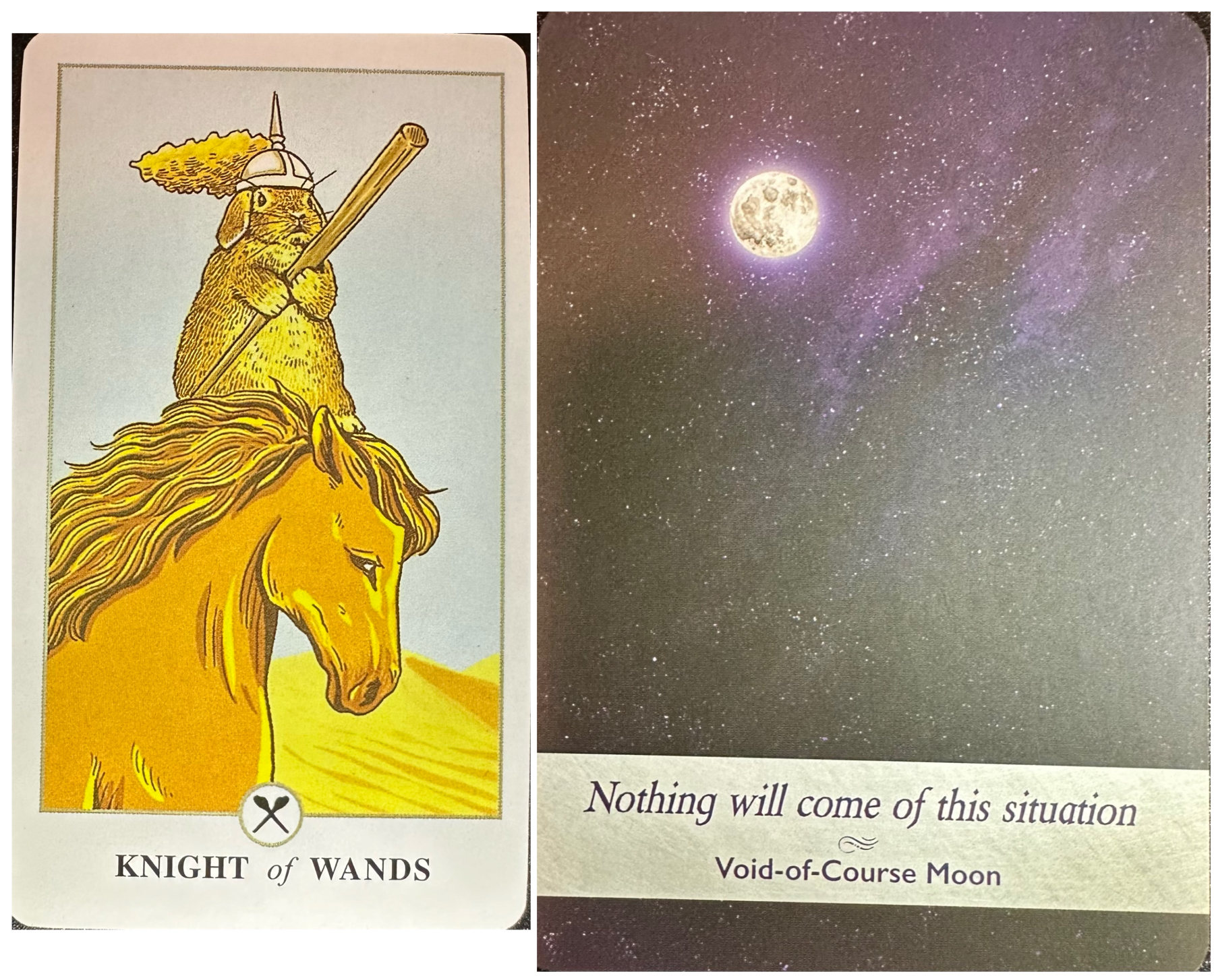 無題51_20250331224001.png