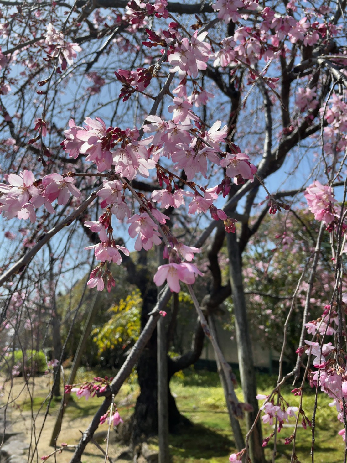 S__3563670.jpg