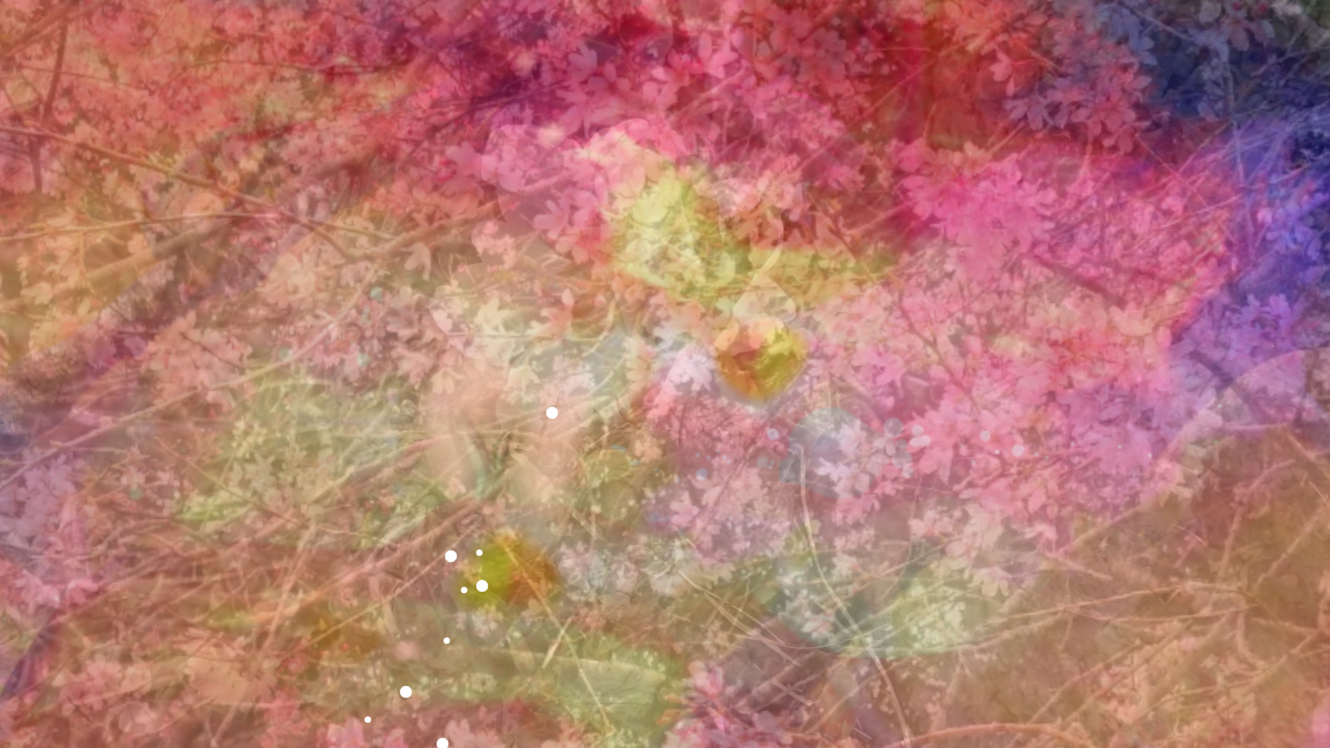 sketch-1648529597957.png