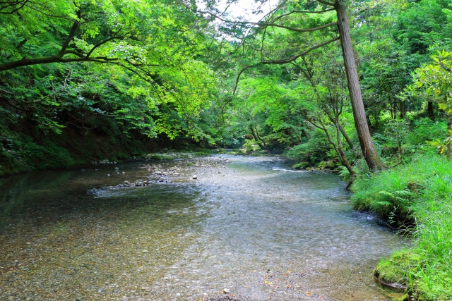 川.jpg