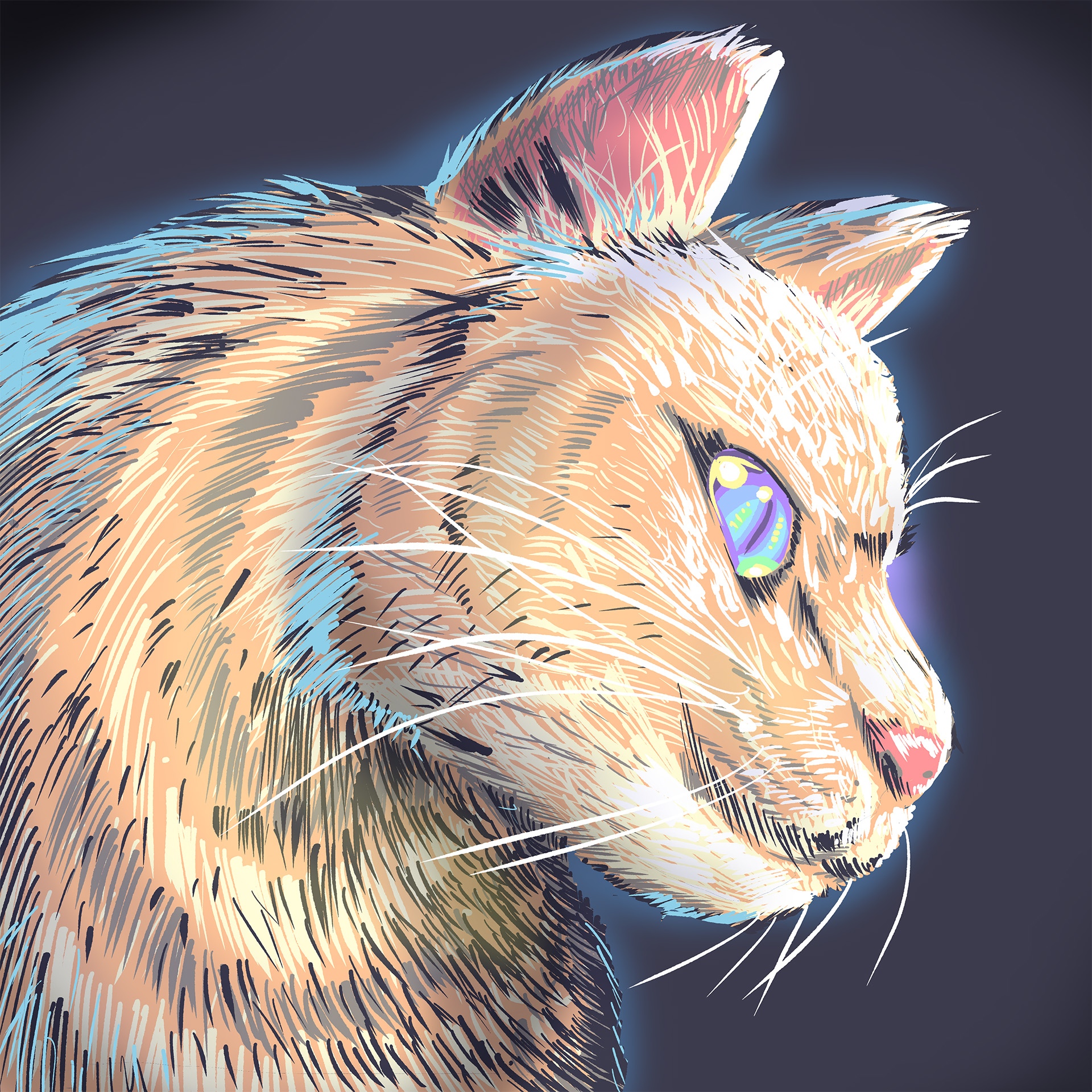 20240508_icon5.jpg
