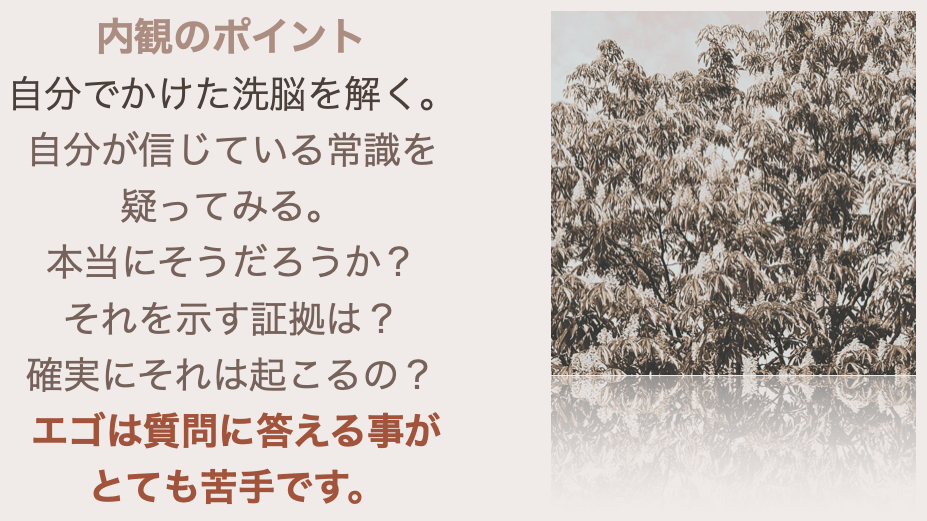 スクリーンショット 2024-08-26 15.40.37.png