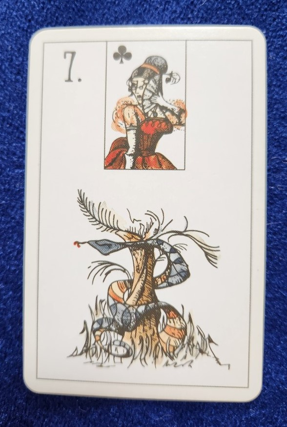 20230823_085102 (002).jpg