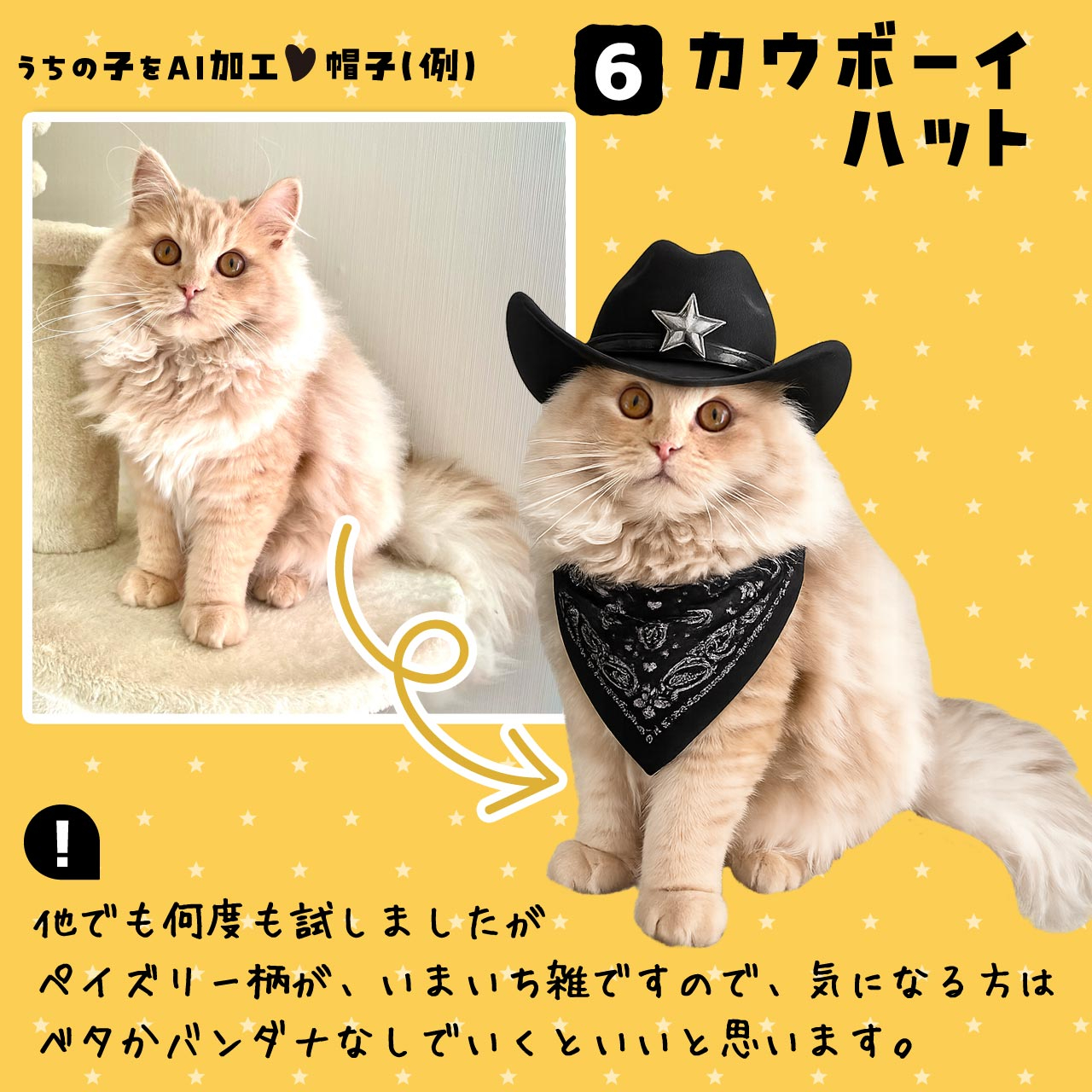 AI_A6cowboy2.jpg