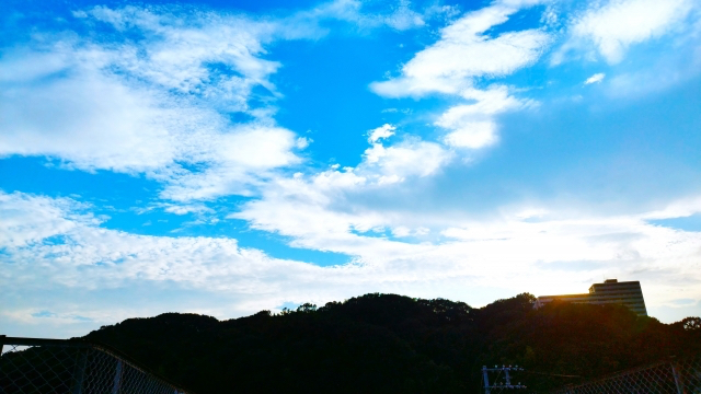 27506961_s.jpg