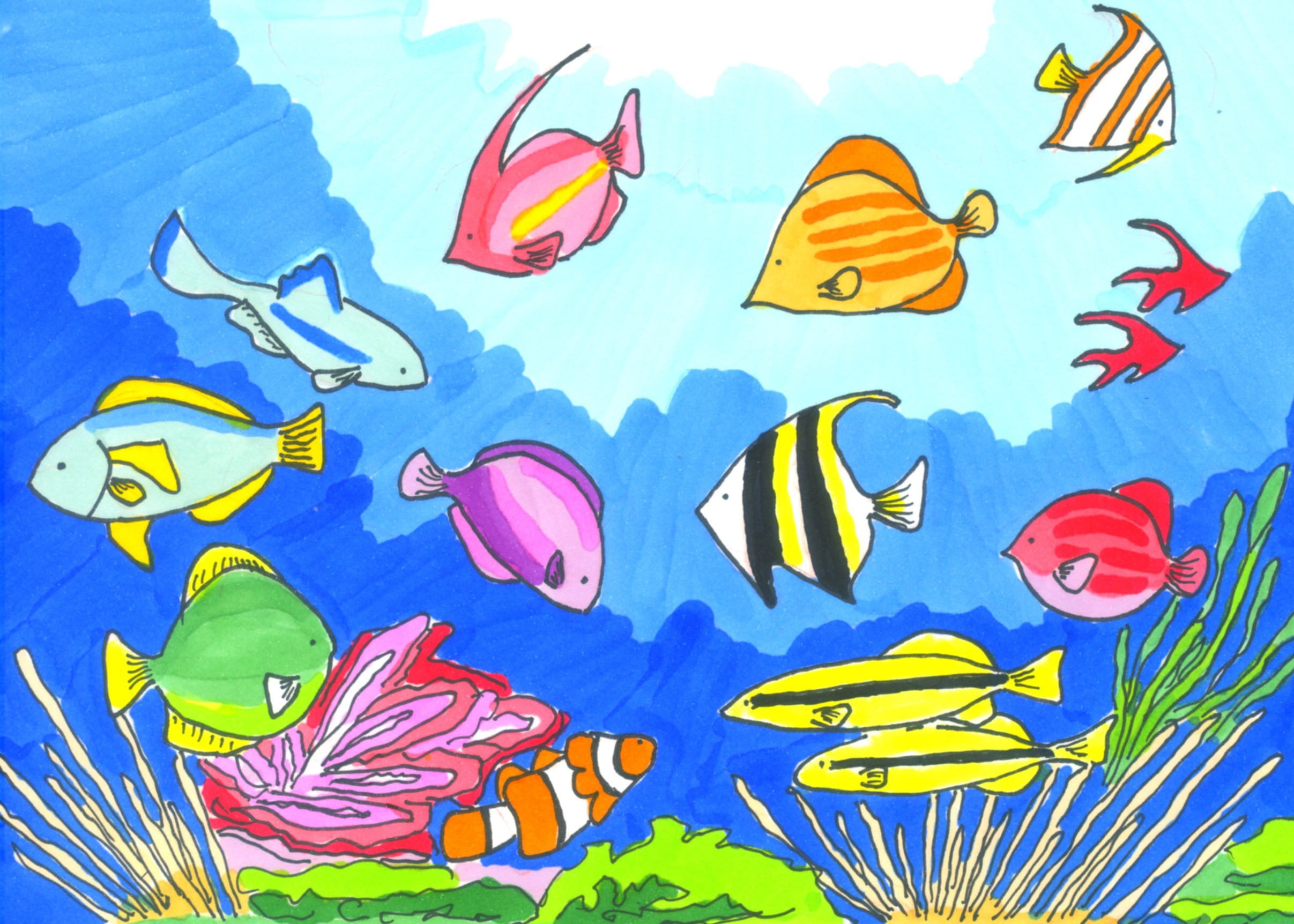 熱帯魚 (2).jpg