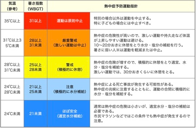 2025-07-23s21.18の画像_MLv.jpeg