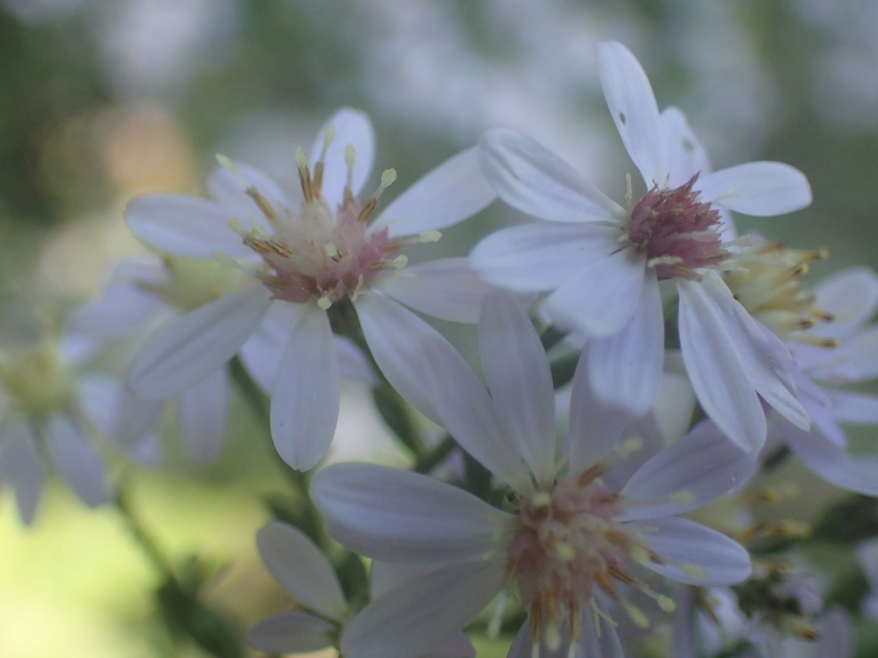 PA120310.JPG