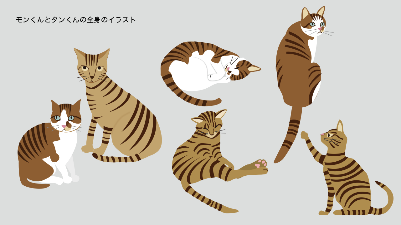 ブログ用画像12montan-2.png