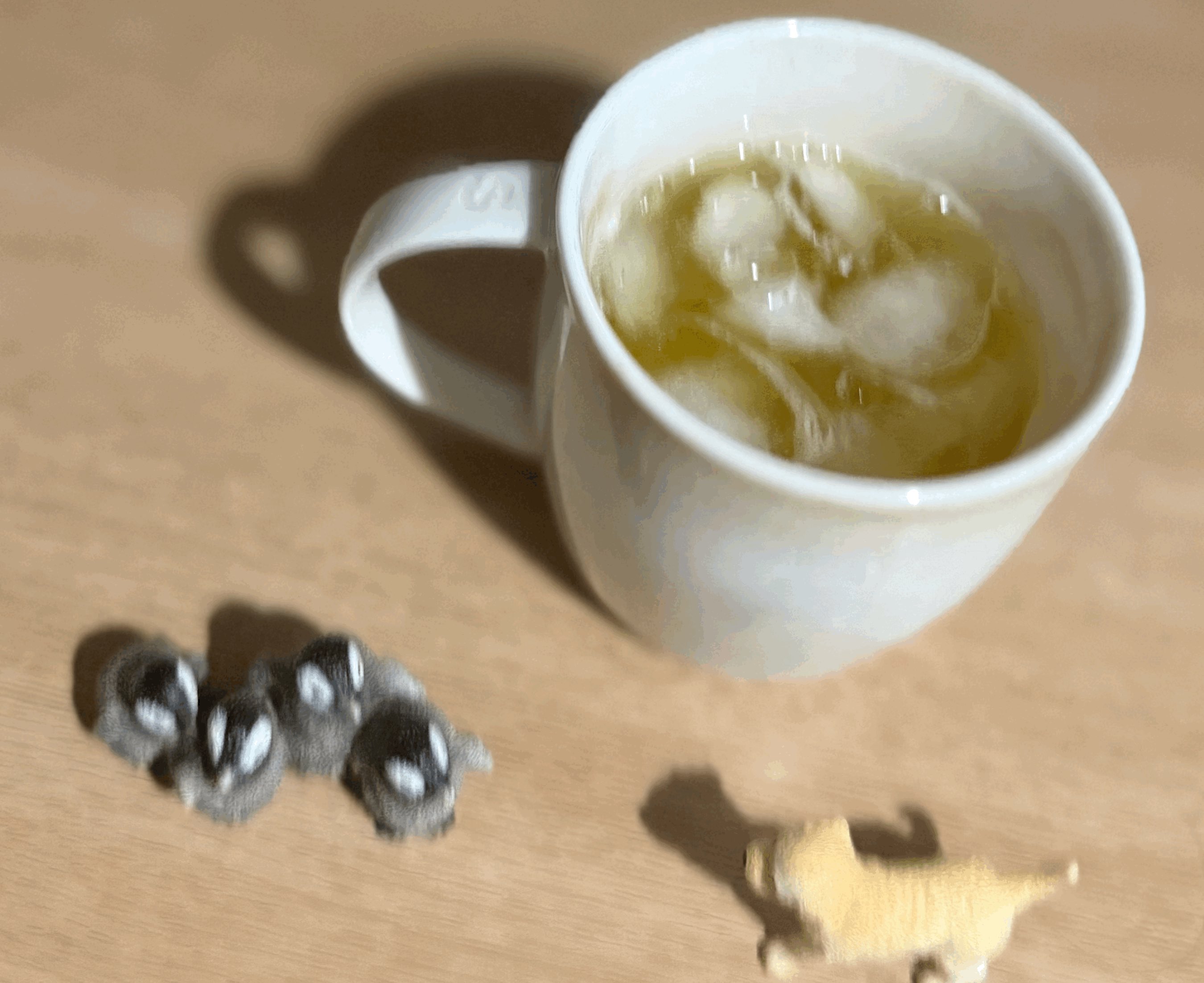 tempImagezM4oc3.gif