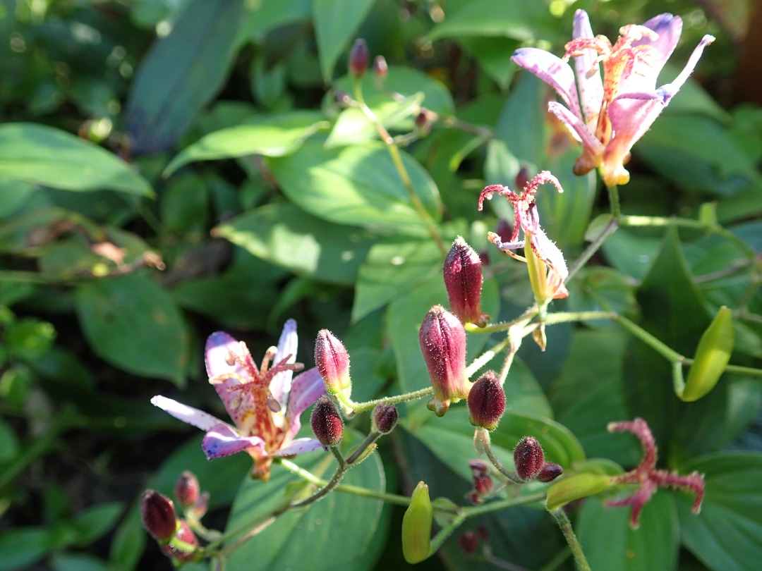 PA100104.JPG