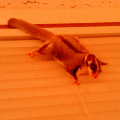 Screenshot_20221207-181118~2 (1).png