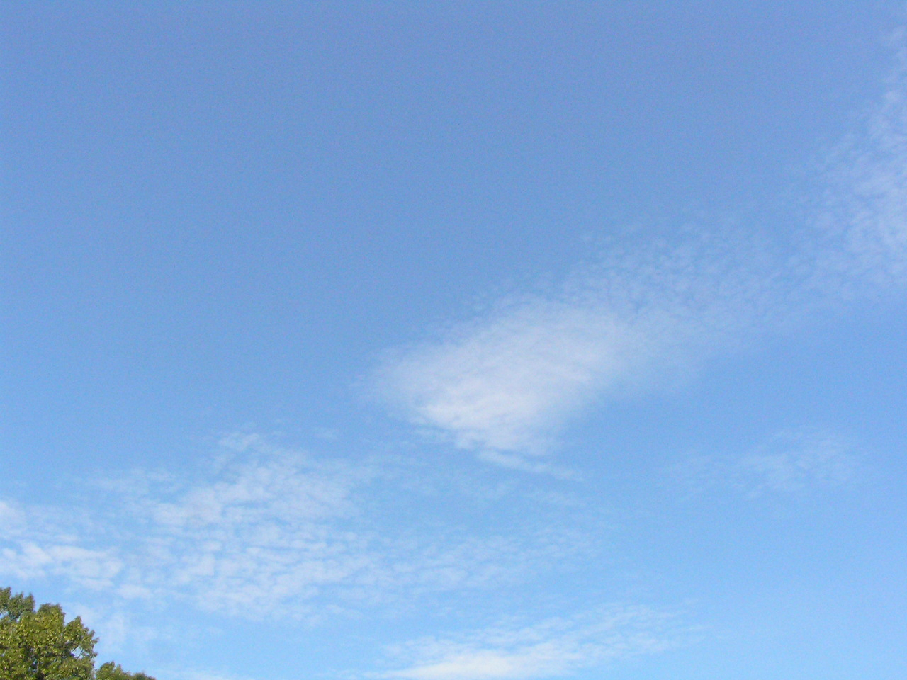 PA260012.JPG