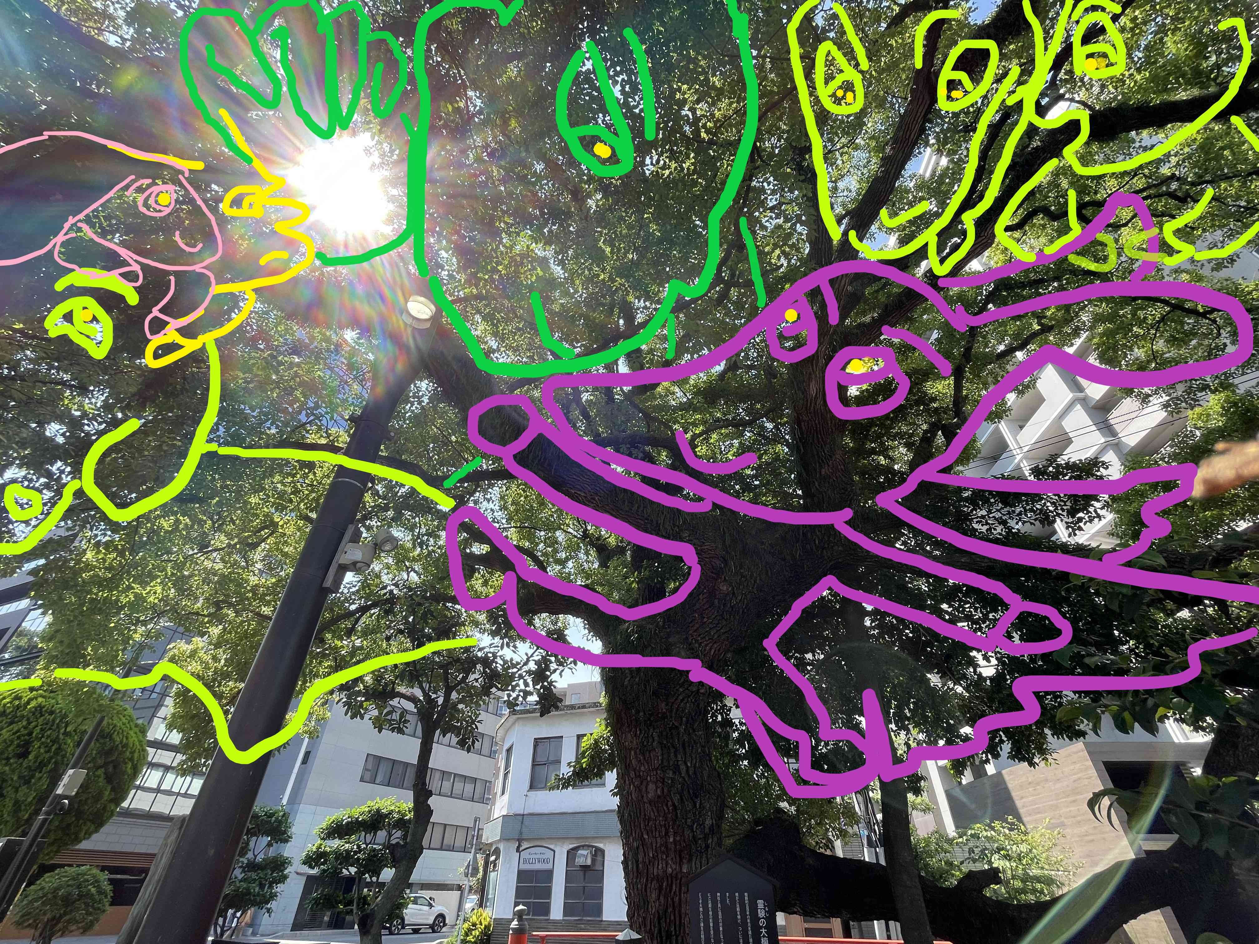 イメージP.jpg