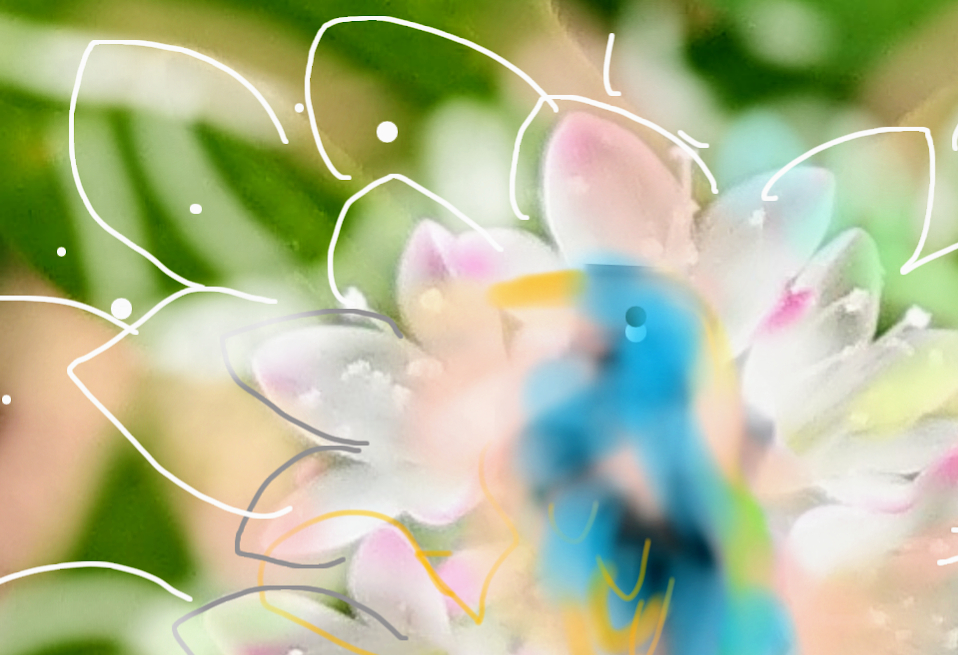 sketch-1671490456435 (2).png