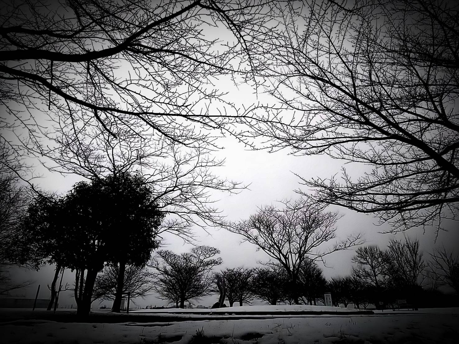 2023年雪17.jpg