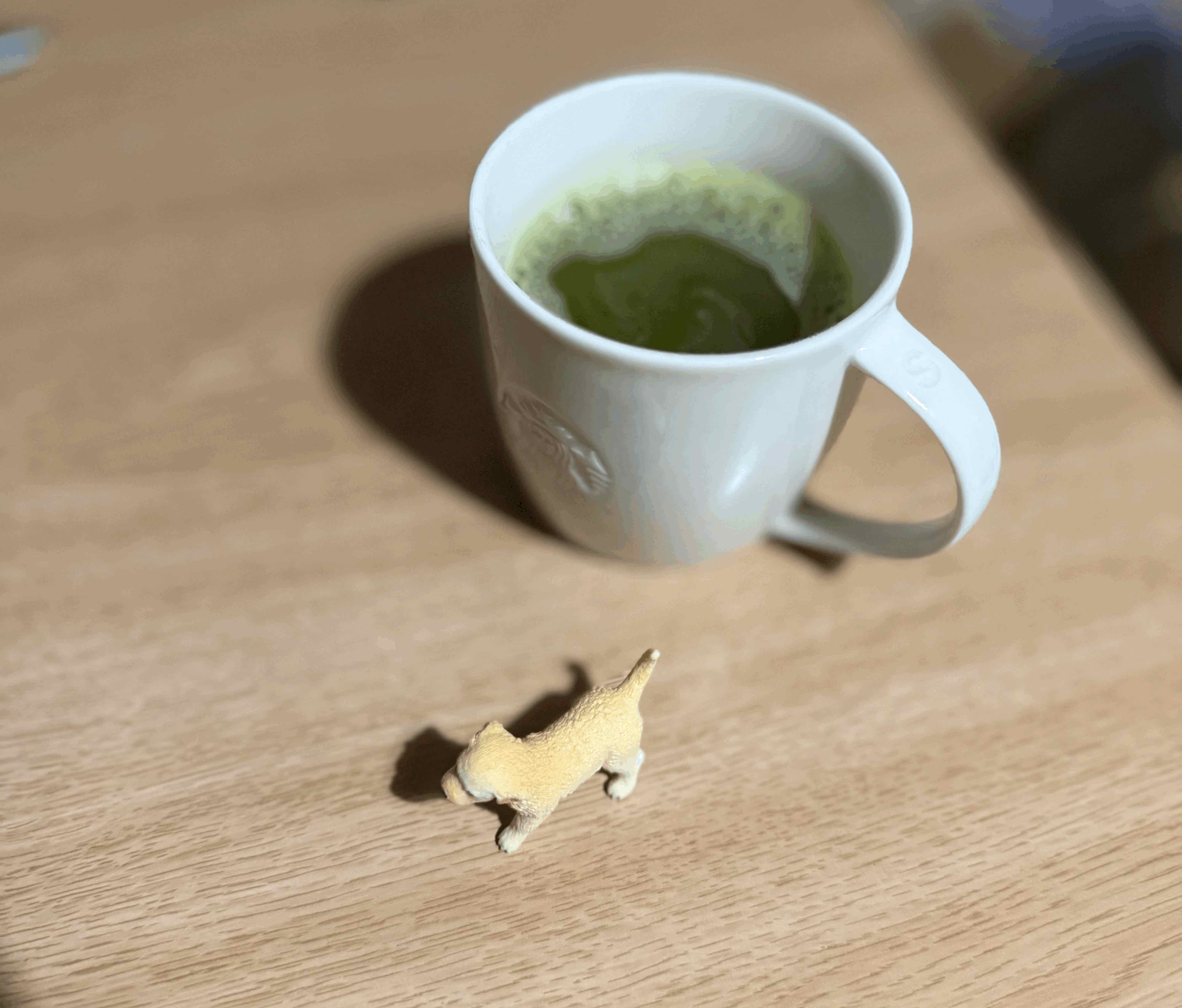 tempImagepzYIhV.gif