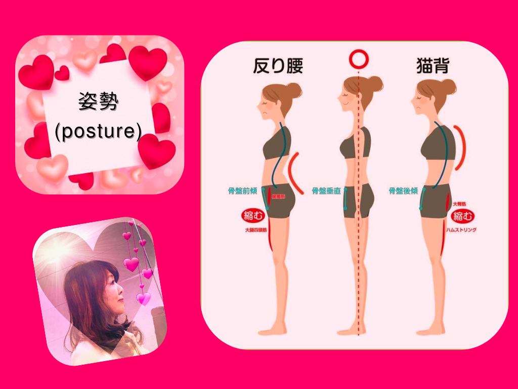 姿勢 (posture)_png.png