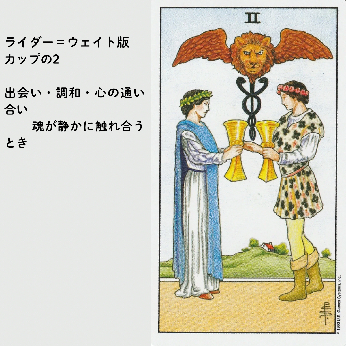 シュイポートフォリオ画像(1200 x 1200 px).png