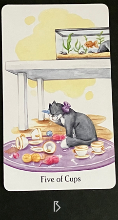 IMG_0455_B.png