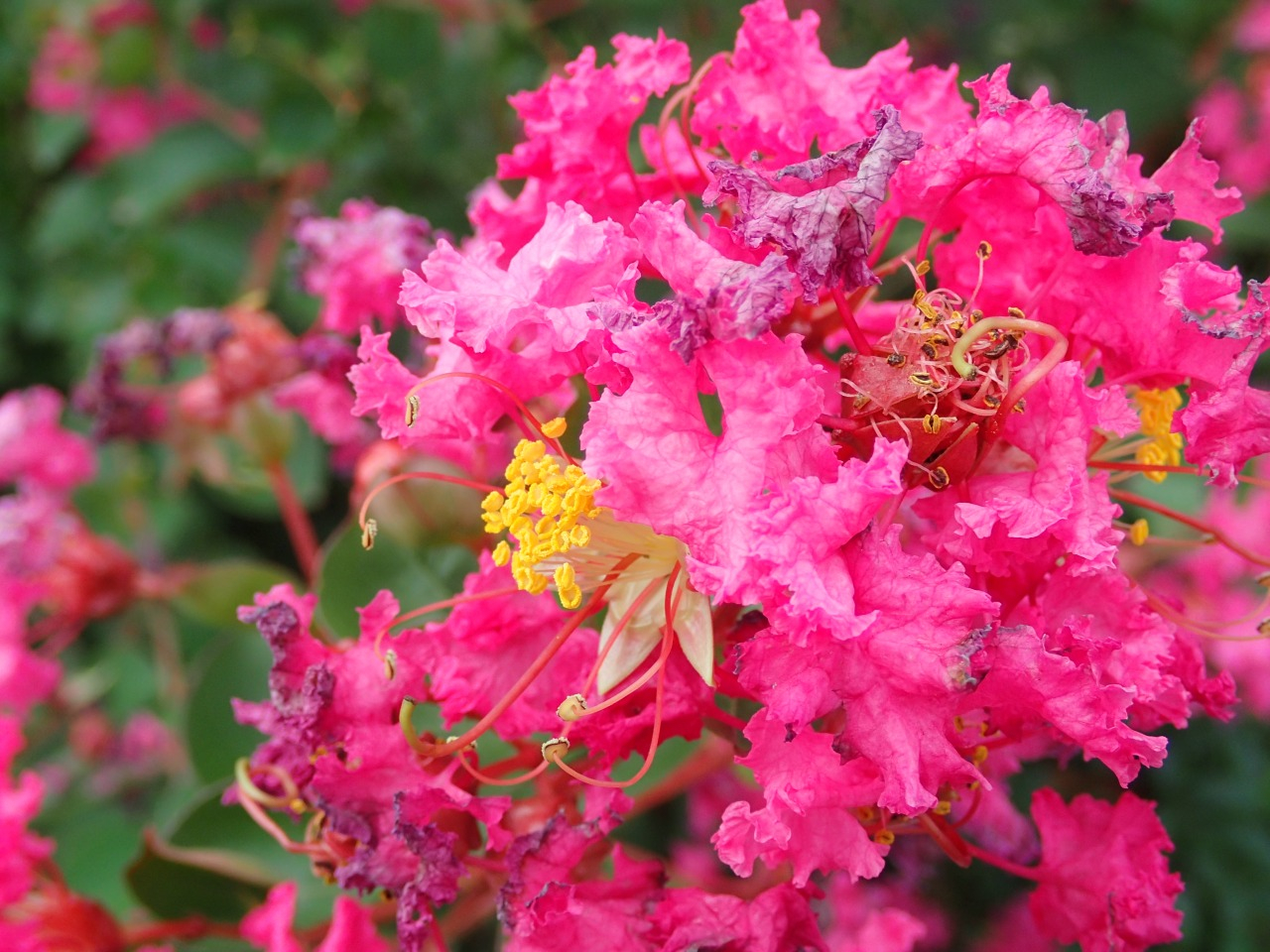 PA050222.JPG