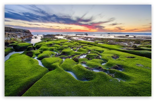 la_jolla_green_shore-t2.jpg