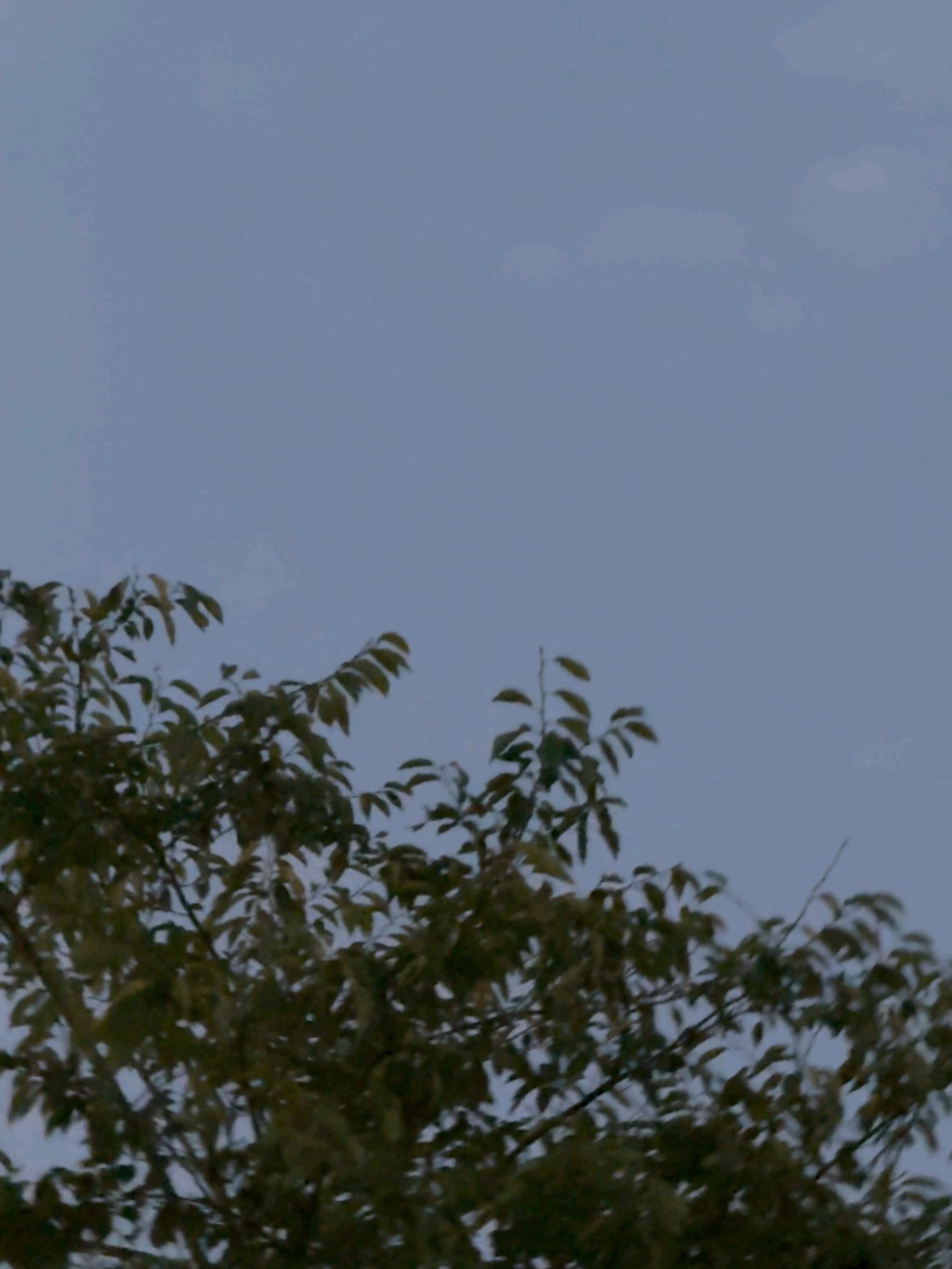 tempImageI1qEzr.gif